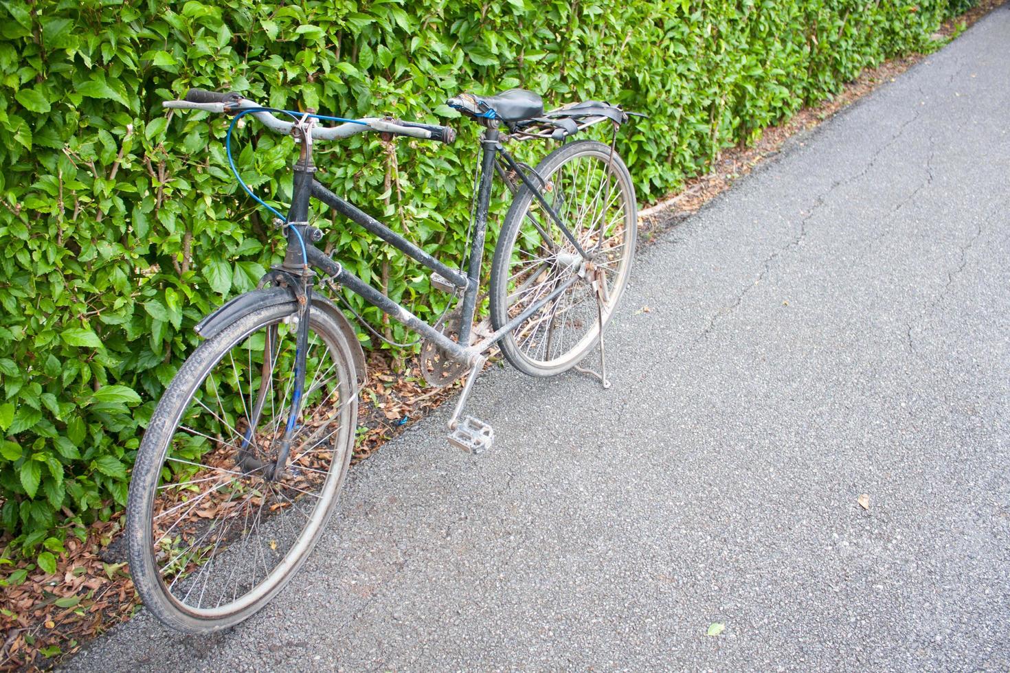 bicicleta en el parque. foto