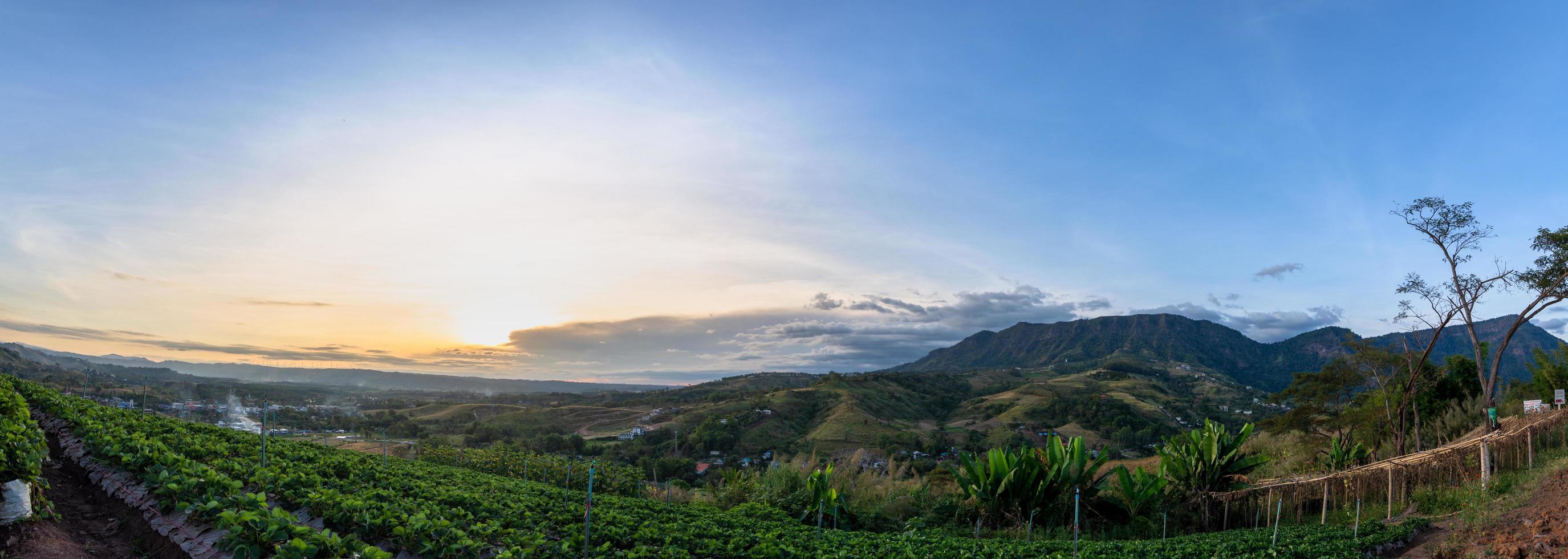 Landscape at the Khao Kho mountain photo