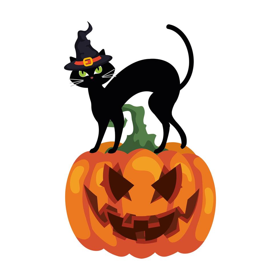 Calabaza de Halloween y gato con sombrero de bruja sobre fondo blanco. vector