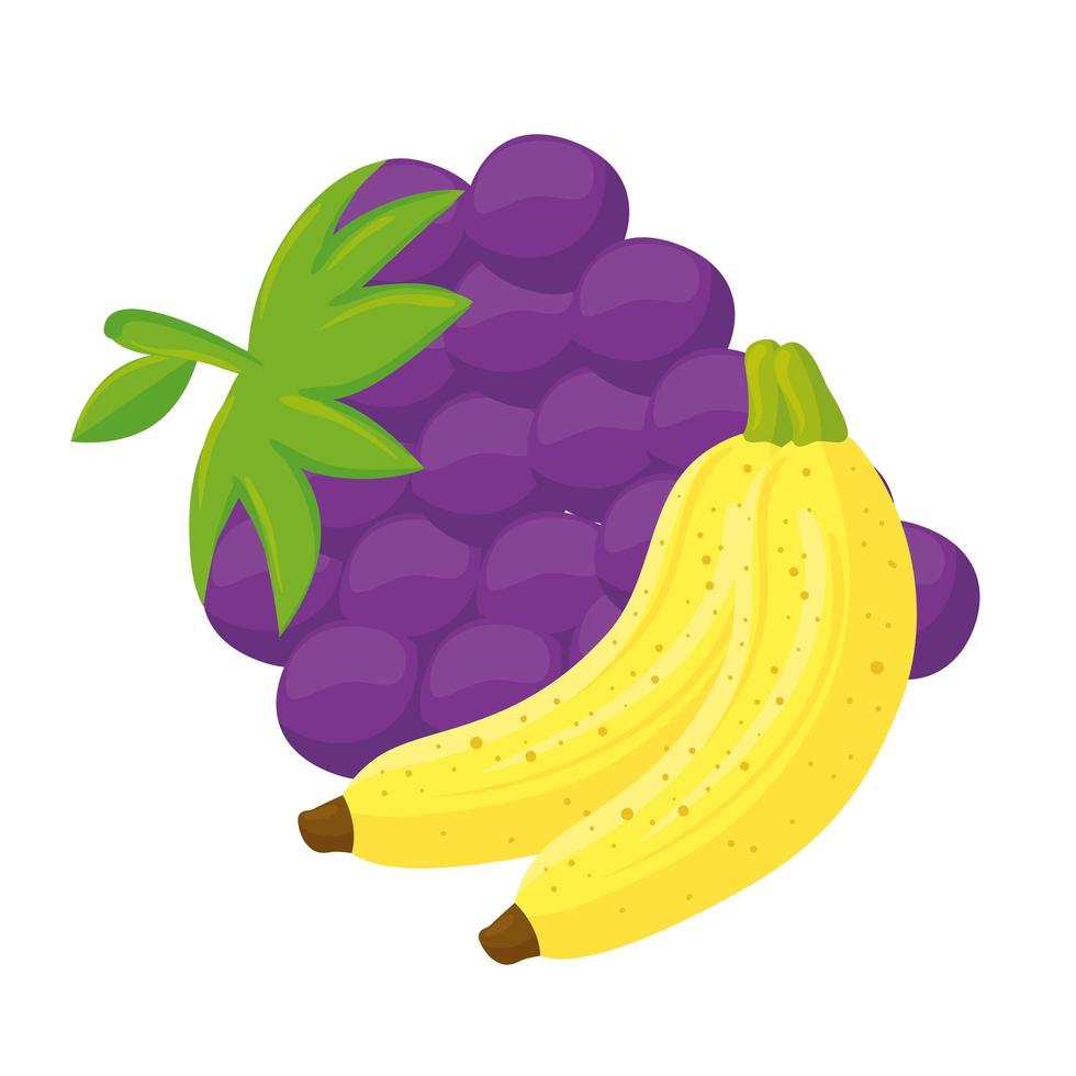 fresh fruits, bananas and grapes, in white background 1904412 Vector