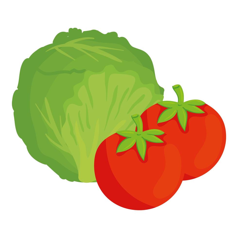 Lechuga fresca y saludable con tomate, sobre fondo blanco. vector