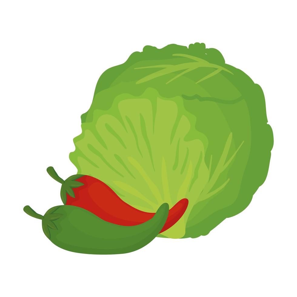 Lechuga fresca con chiles, sobre fondo blanco. vector