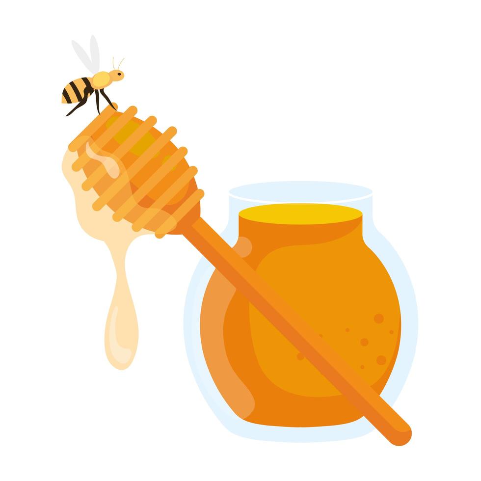 Jar y miel de abeja y palo de cucharón, sobre fondo blanco. vector