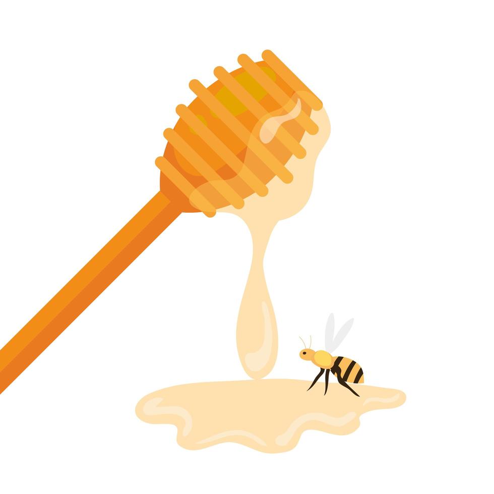 Palo de cucharón de miel con abeja, sobre fondo blanco. vector