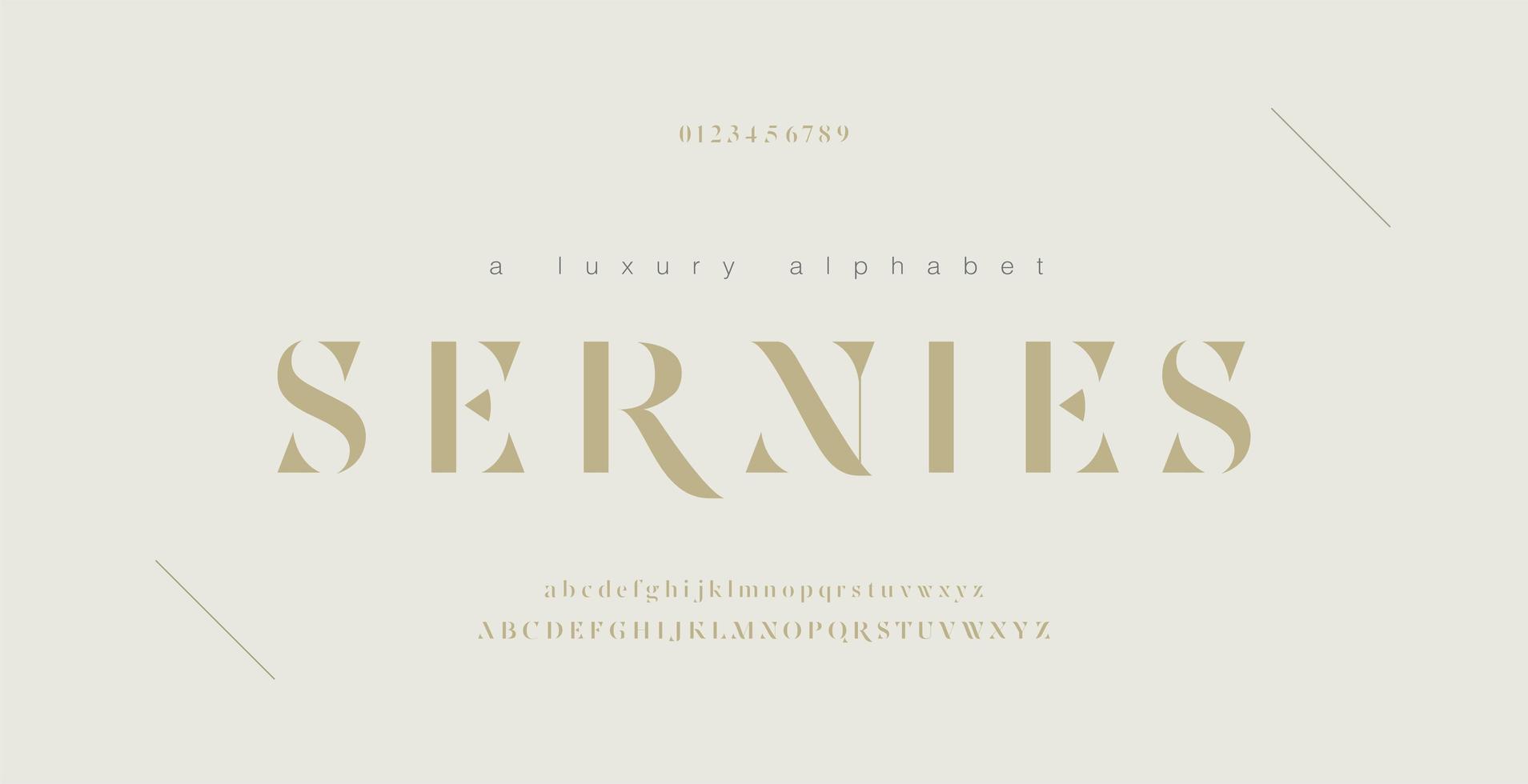 Elegant alphabet letters font and number set vector