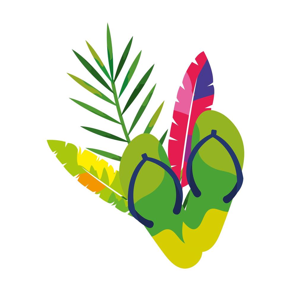 flip flops pair with exotic feathers and tropical leaf vector