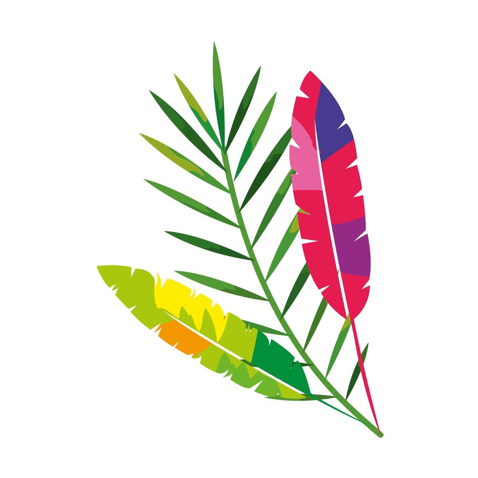 exotic feathers with tropical leafs isolated icon vector