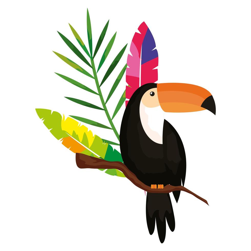 toucan with exotic feathers and tropical leaf vector