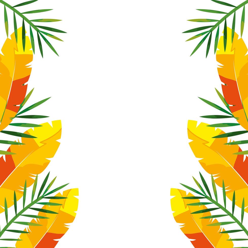 frame with exotic feathers and tropical leafs vector