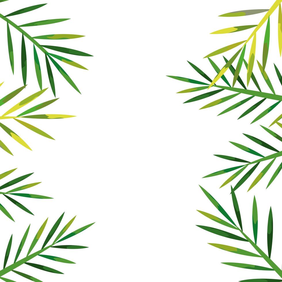 frame of tropical natural leafs isolated icon vector
