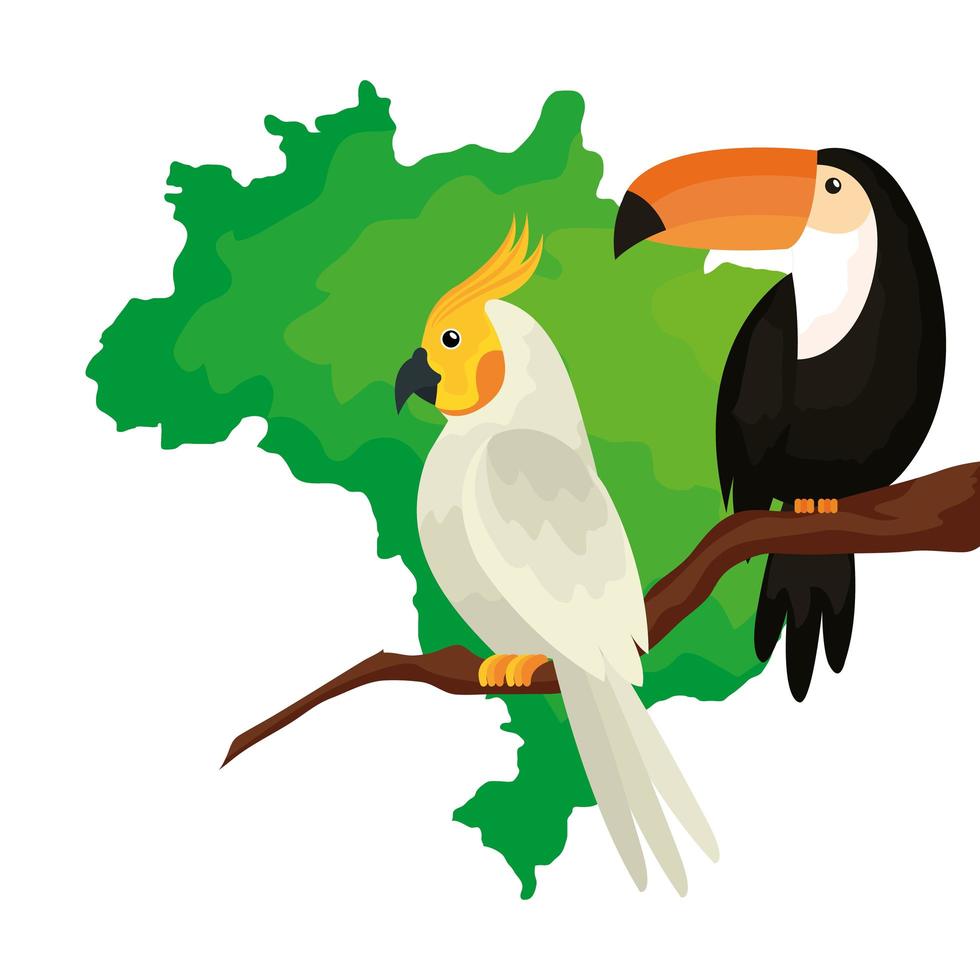 map of brazil with parrot and toucan isolated icon vector