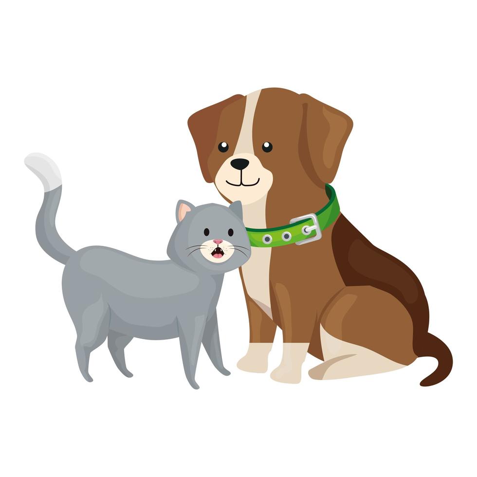 cute cat and dog animals isolated icon vector