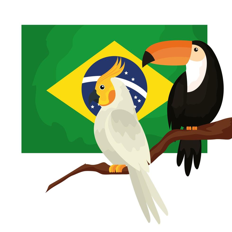 Bandera de Brasil con loro y tucán icono aislado vector