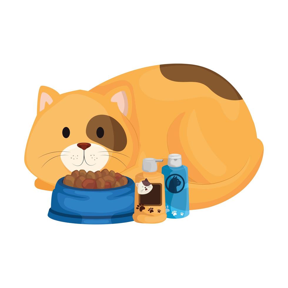 lindo gato con plato de comida e iconos para el cuidado vector
