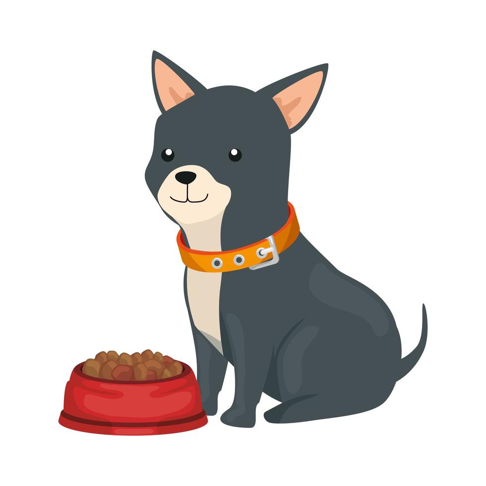 cute dog with dish food isolated icon vector
