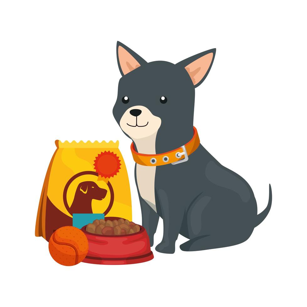 lindo perro con bolsa de comida e iconos vector