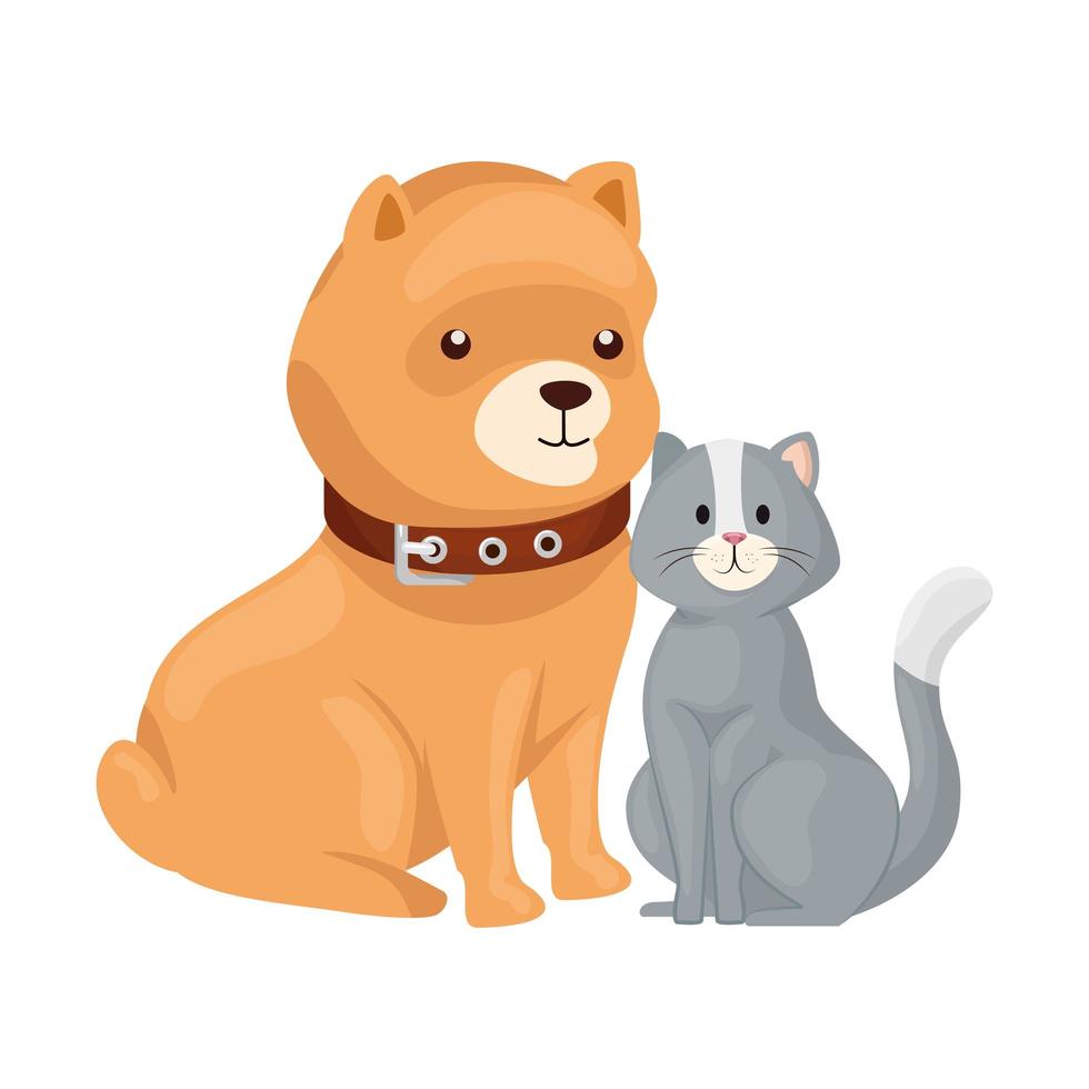 cute cat and dog animals isolated icon vector