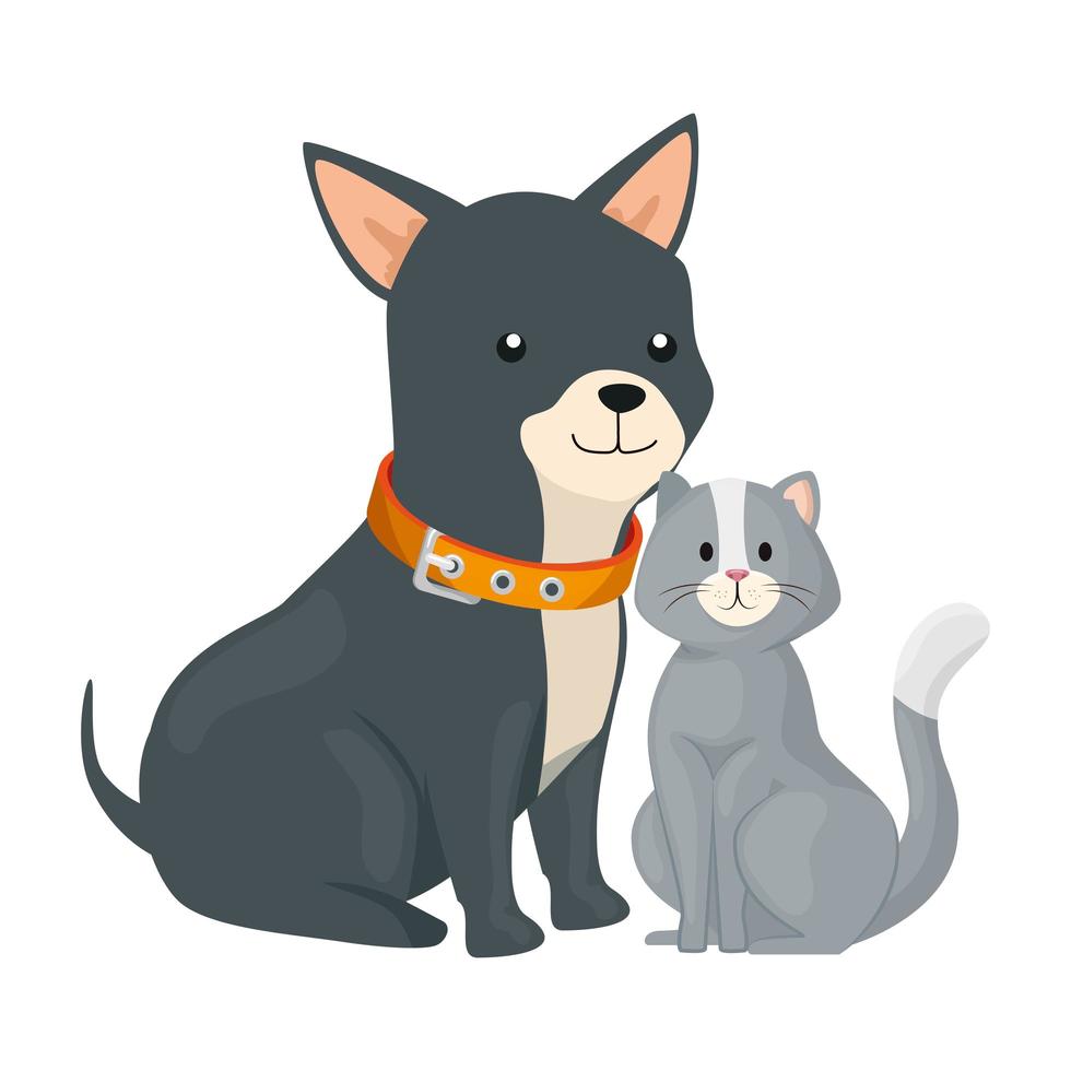 cute cat and dog animals isolated icon vector