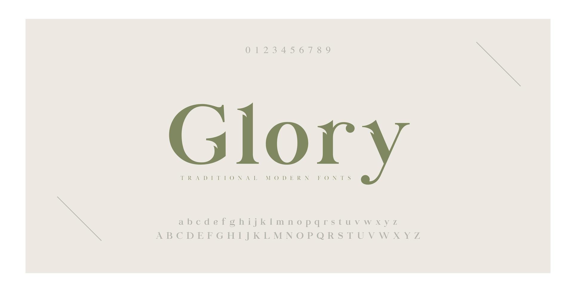 Elegant alphabet letters serif font and number vector