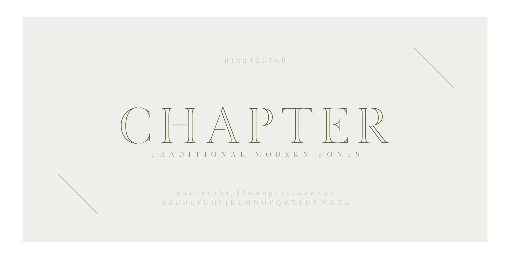 Elegant alphabet letters serif font and number set vector