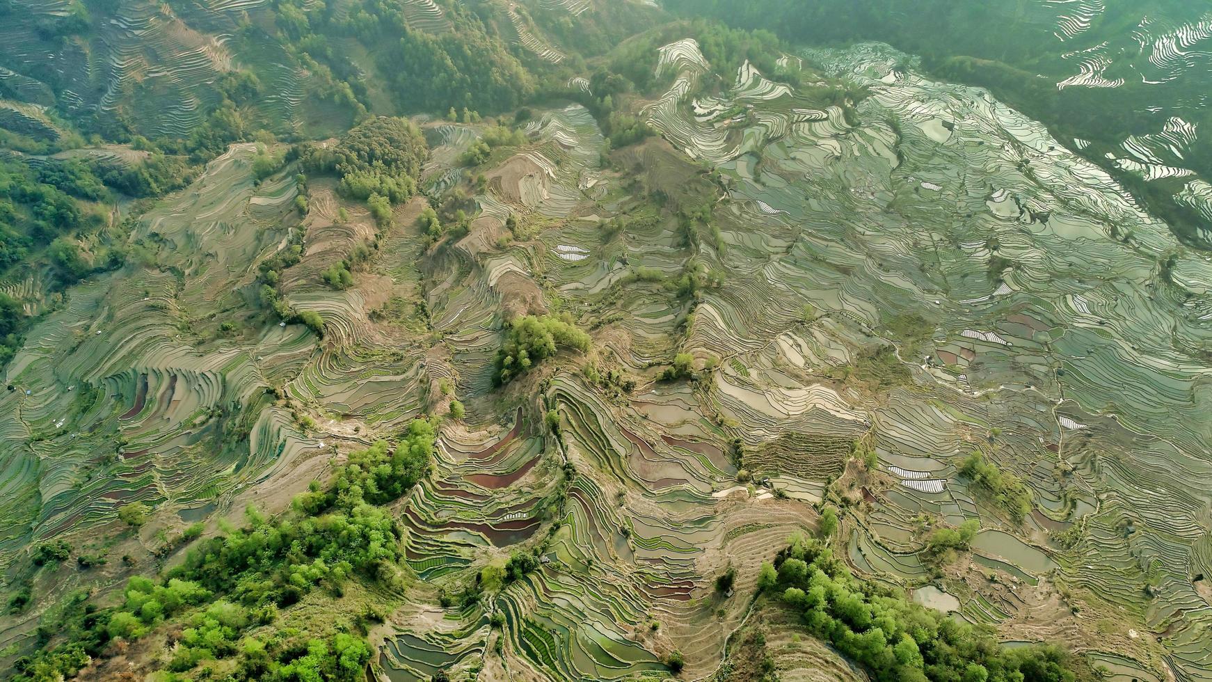 Yuanyang terraces during the day photo