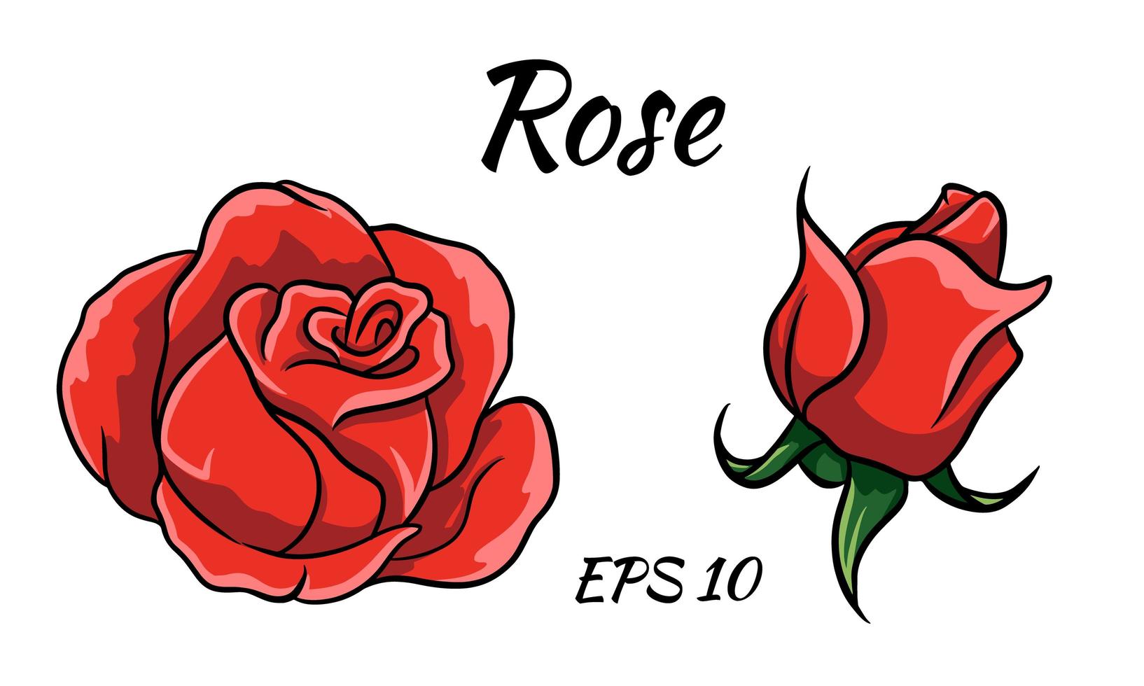 Red rose cartoon style on a white background. vector