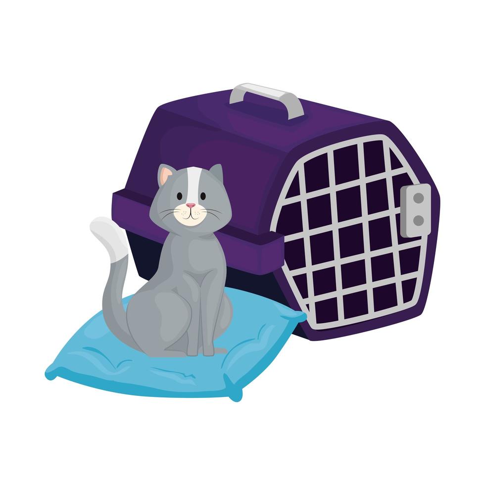 cute little cat in cushion with carry box vector