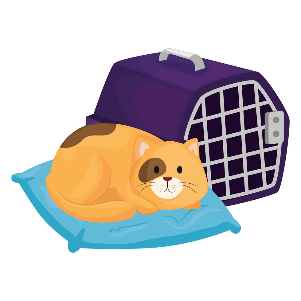 cute little cat in cushion with carry box vector