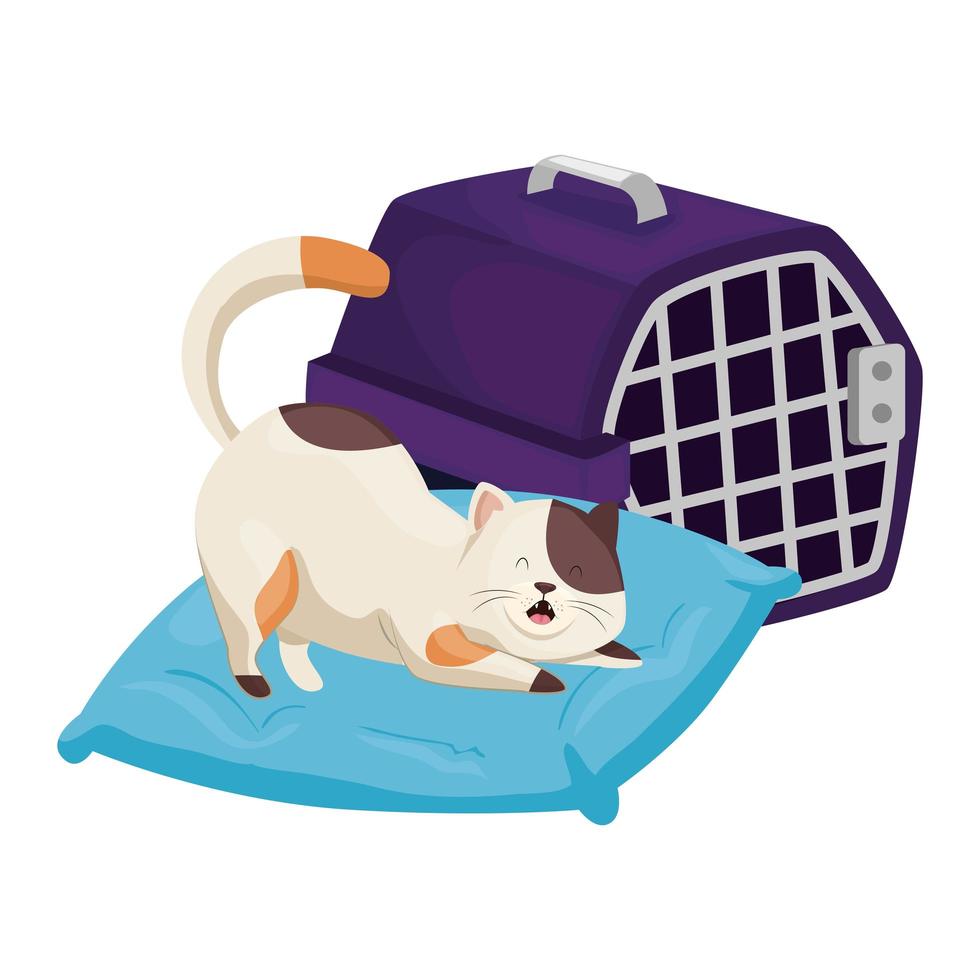 cute little cat in cushion with carry box vector