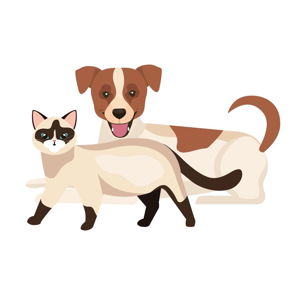 cute dog with cat isolated icons vector