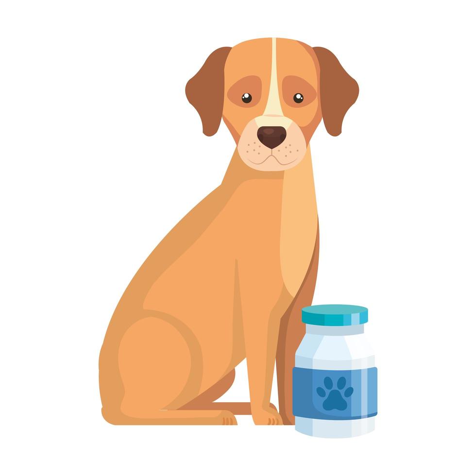 cute dog animal with bottle isolated icon vector