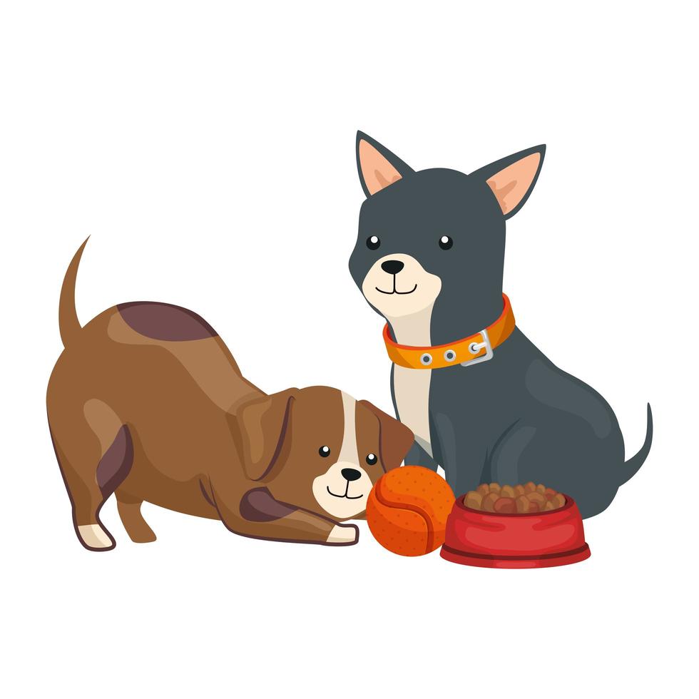 lindos perros con plato de comida y juguete de pelota vector