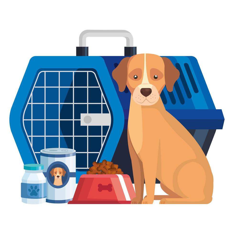 caja de transporte de mascotas con perro e iconos vector