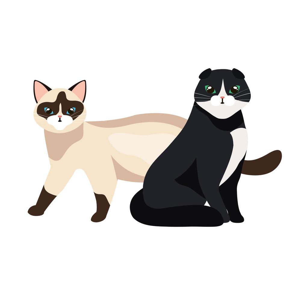 group of cats animals isolated icon vector