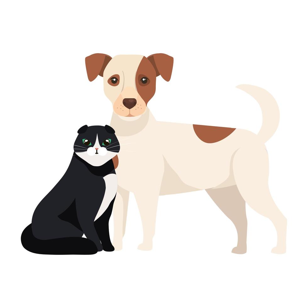 cute dog with cat black and white vector