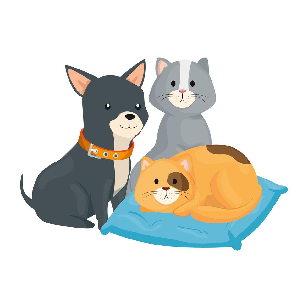 cute cats and dog with cushion isolated icon vector