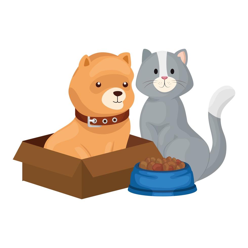 lindo perro en caja de cartón y gato con plato de comida vector