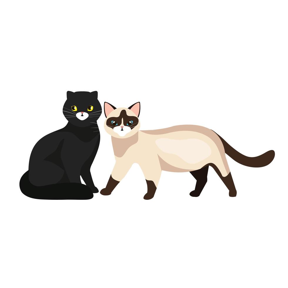 group of cats animals isolated icon vector