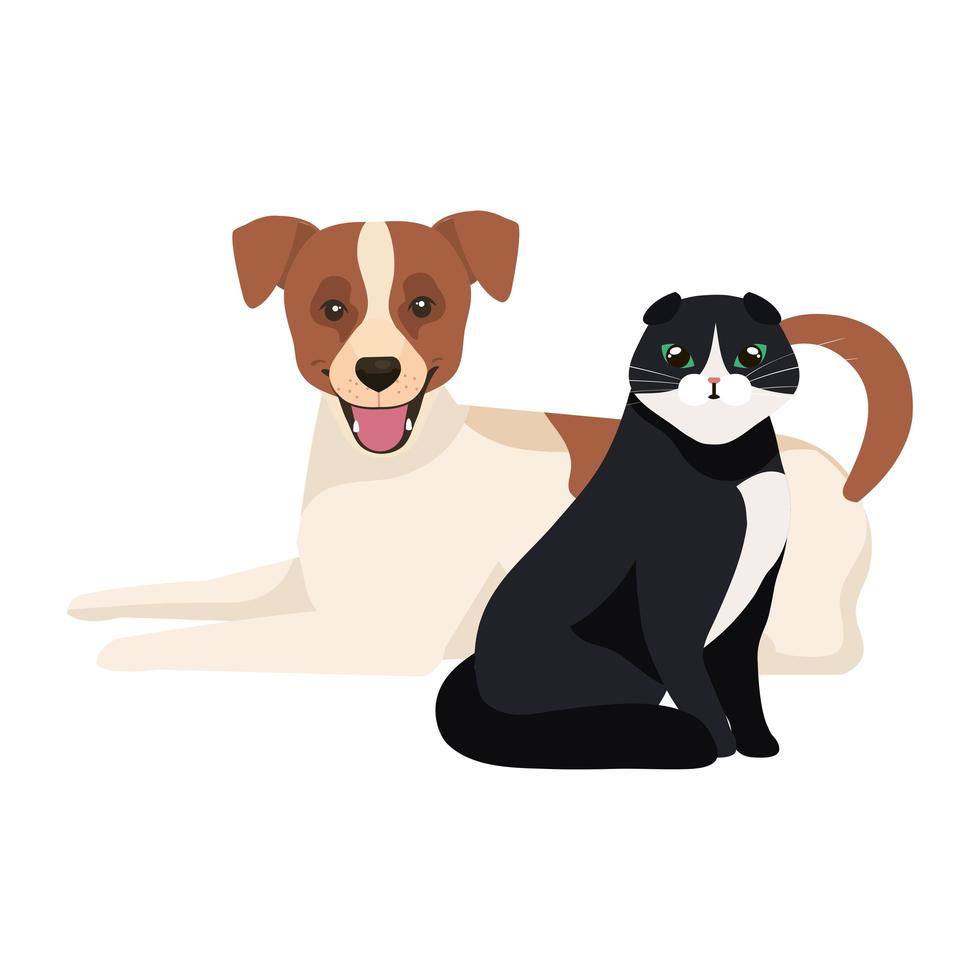 lindo perro con gato blanco y negro vector