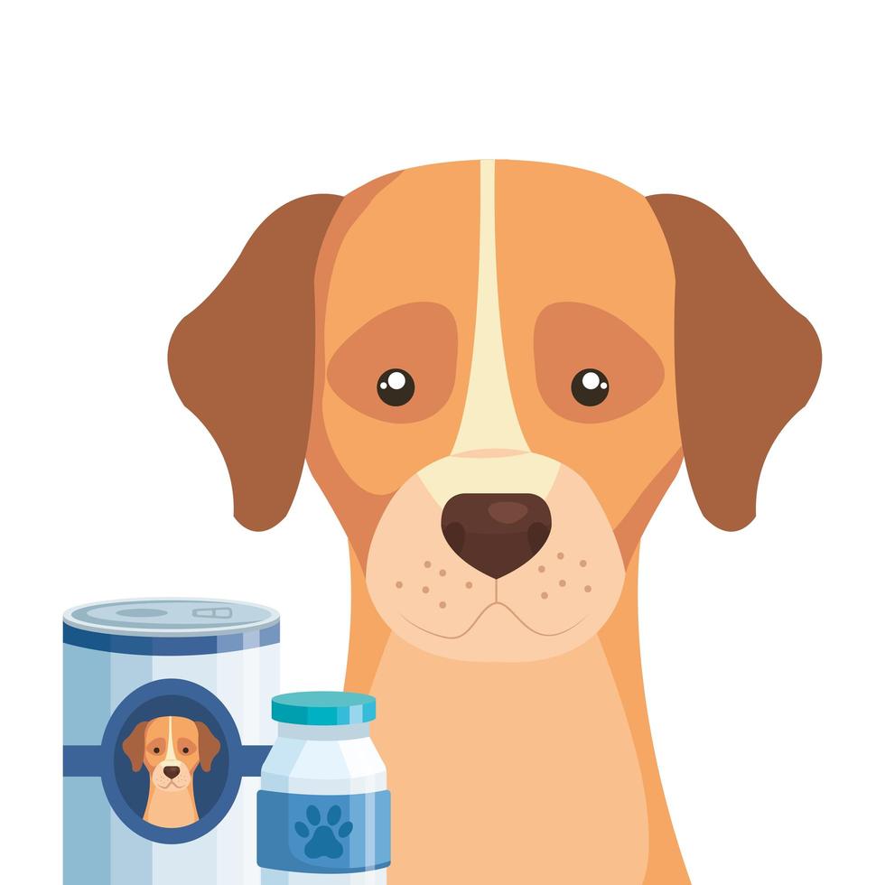 cute dog with bottle medicine and food vector