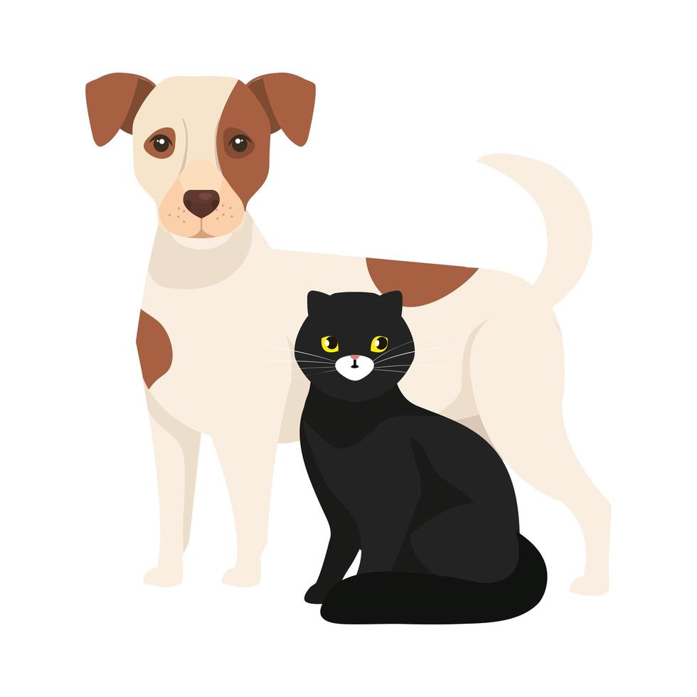 lindo perro con gato negro iconos aislados vector