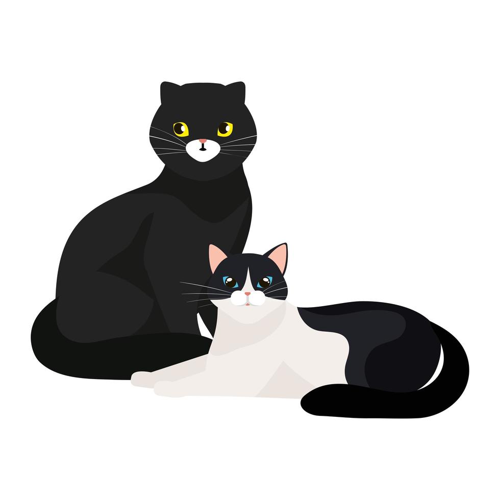 group of cats animals isolated icon vector