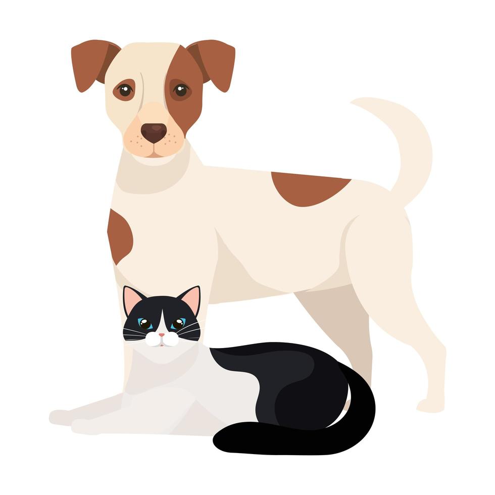 lindo perro con gato blanco y negro vector