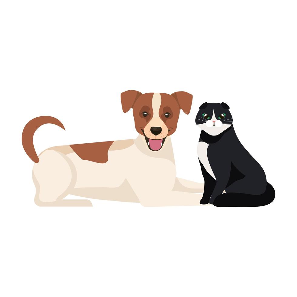 cute dog with cat black and white vector