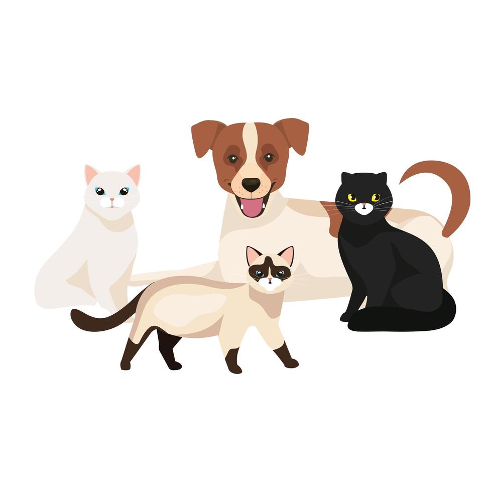 group of cute cats with dog isolated icons vector