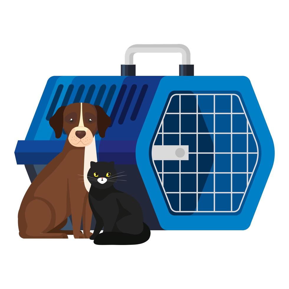 cute dog with cat and pet carry box vector
