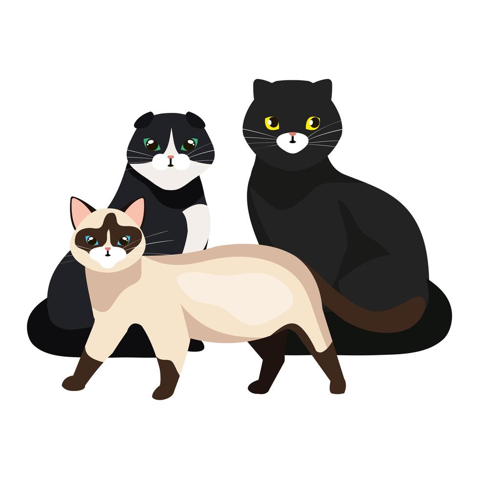 group of cute cats isolated icons vector