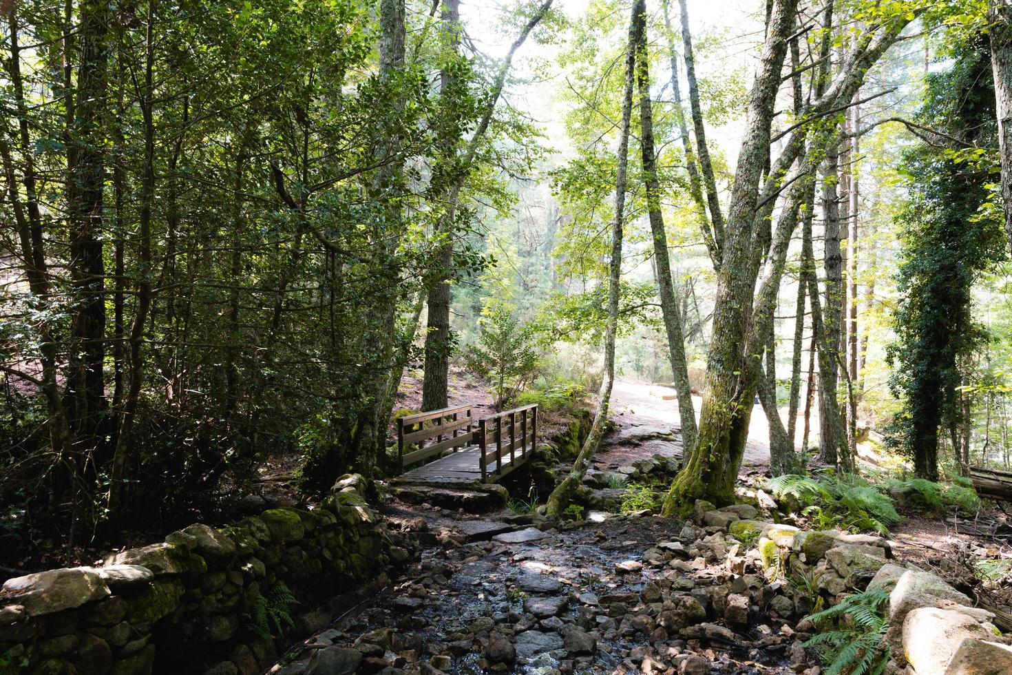 Bridge over a small river photo