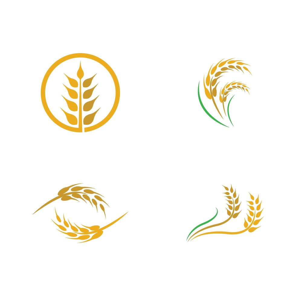 Wheat logo images vector