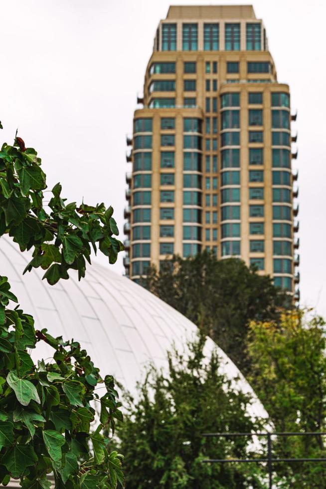 Salt Lake City, UT, 2020 - Planta verde cerca del edificio de hormigón blanco durante el día foto